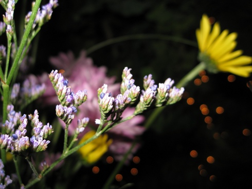 flowers