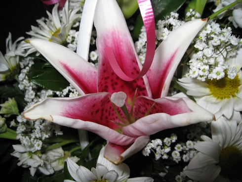 flowers